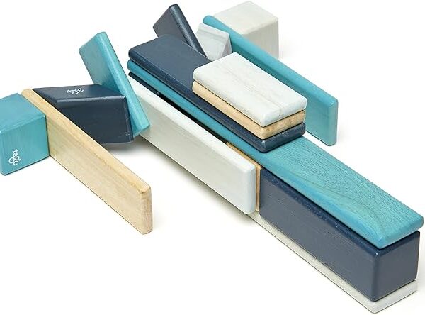 24 Piece Tegu Magnetic Wooden Set