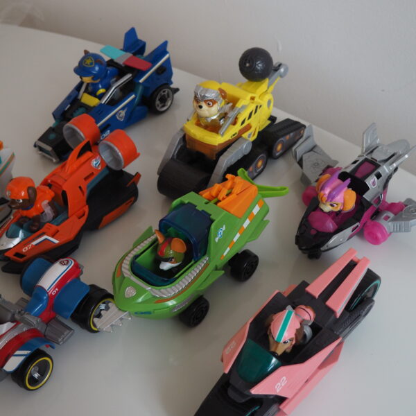 Paw Patrol (All Pups)