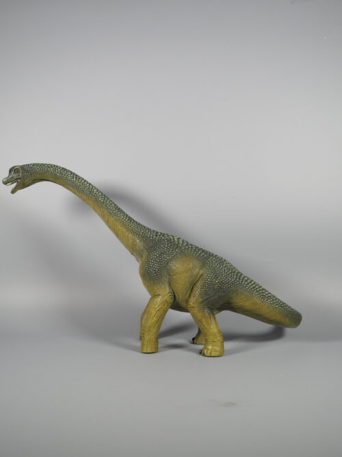 Dinosaur Set (Brocosiurus)